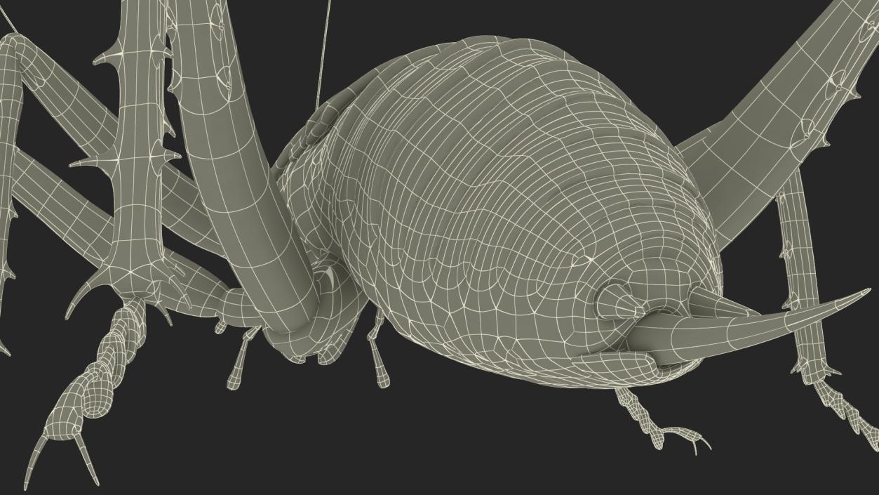 Giant Weta Rigged 3D