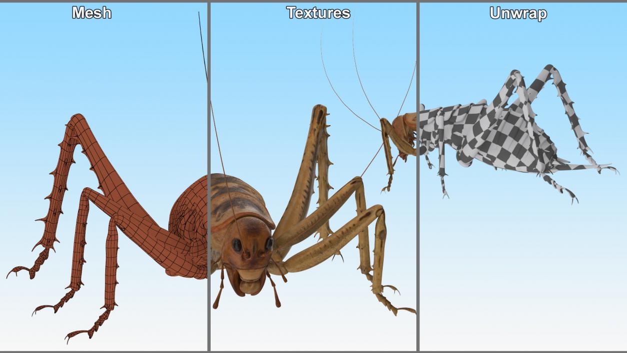 Giant Weta Rigged 3D