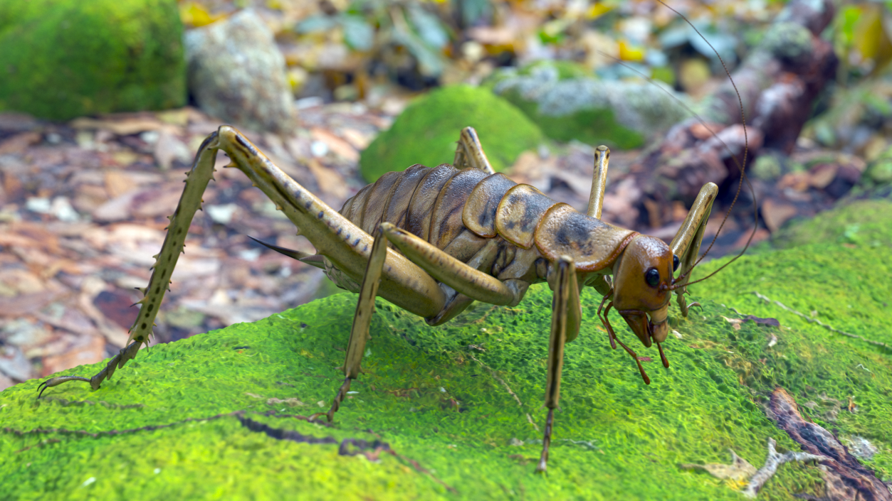 Giant Weta Rigged 3D