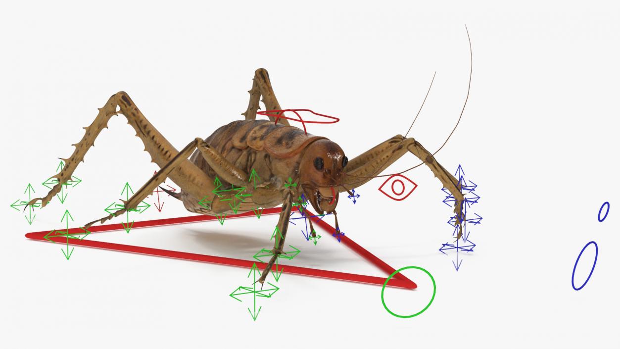 Giant Weta Rigged 3D