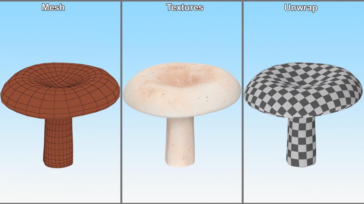 3D model ﻿Edible Mushrooms Collection 4