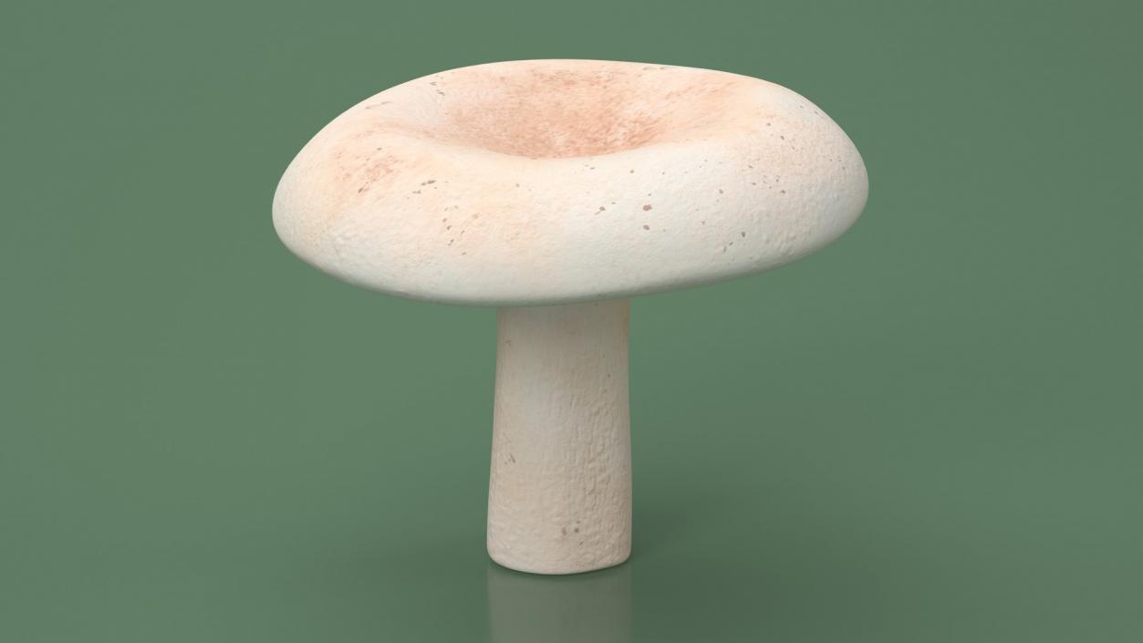 3D model ﻿Edible Mushrooms Collection 4