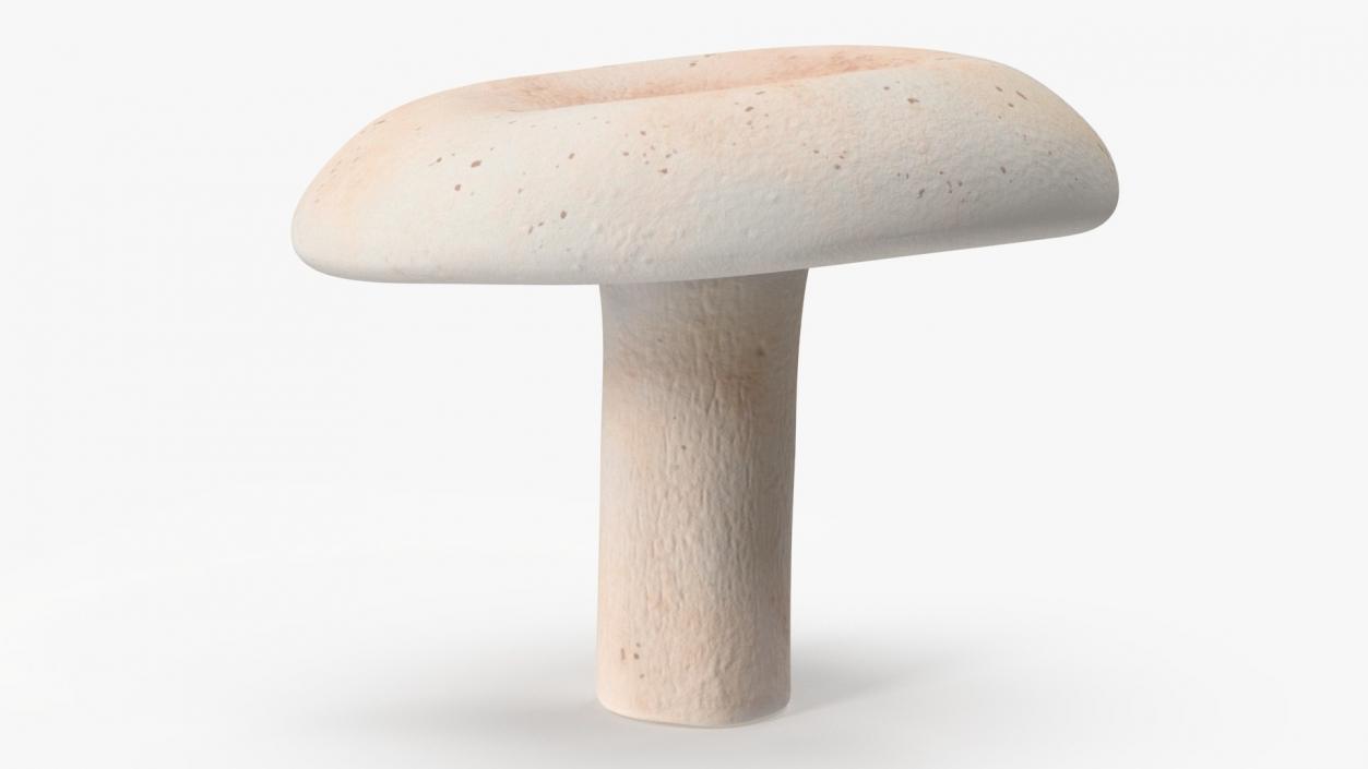 3D model ﻿Edible Mushrooms Collection 4