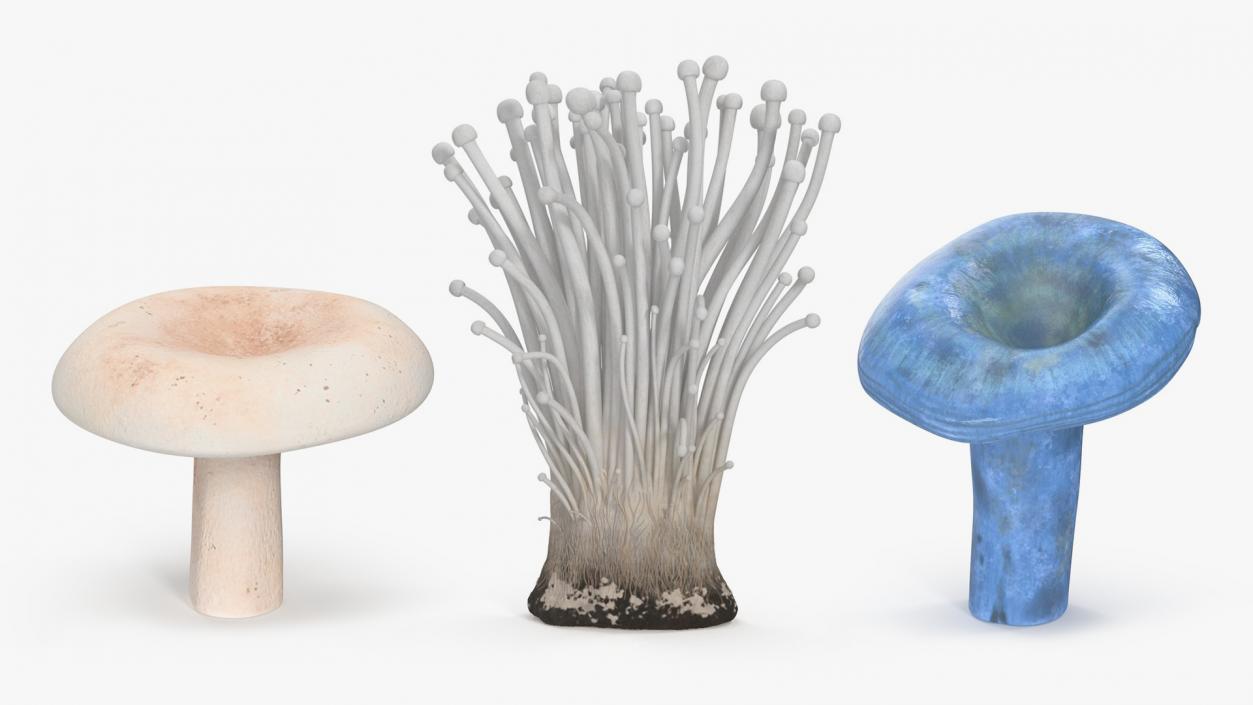 3D model ﻿Edible Mushrooms Collection 4