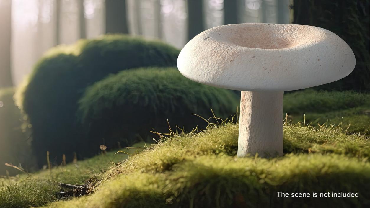 3D model ﻿Edible Mushrooms Collection 4