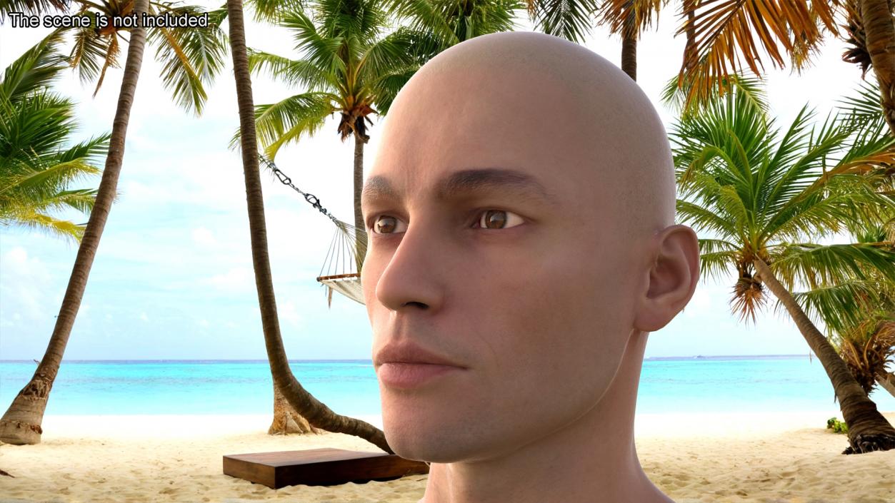 3D Man Character Head model