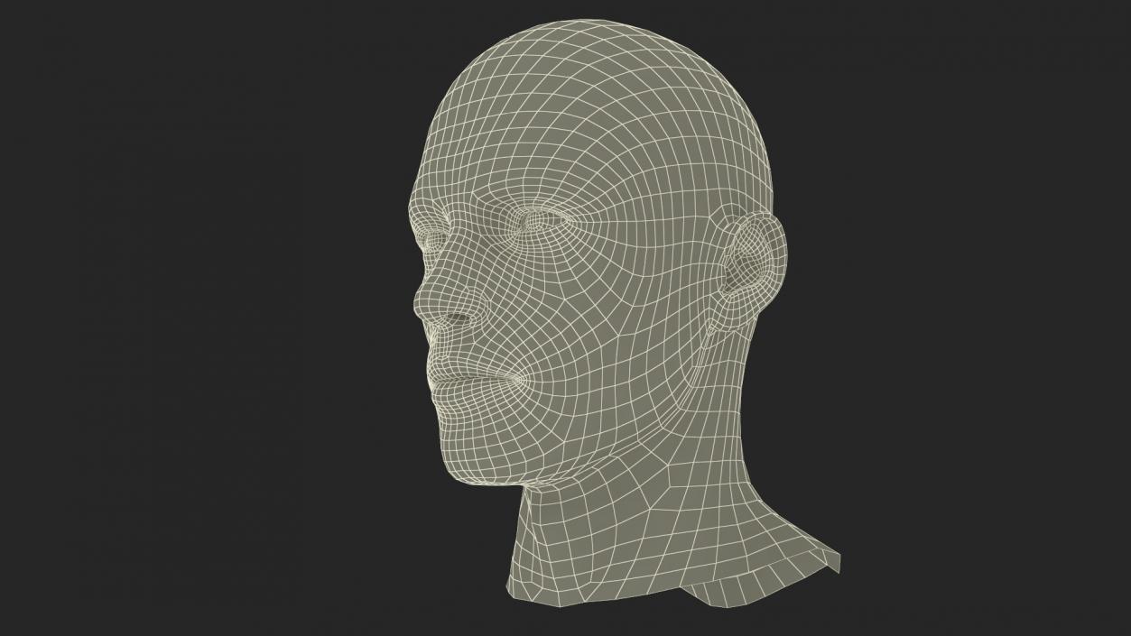 3D Man Character Head model