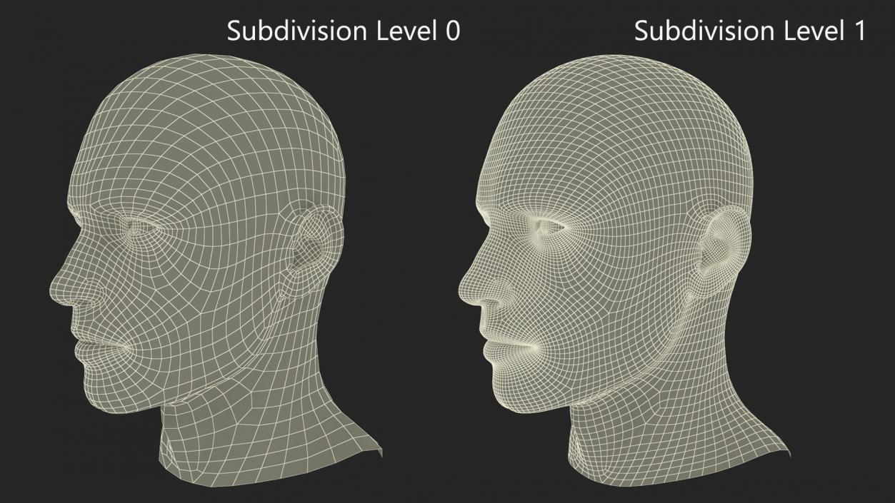 3D Man Character Head model