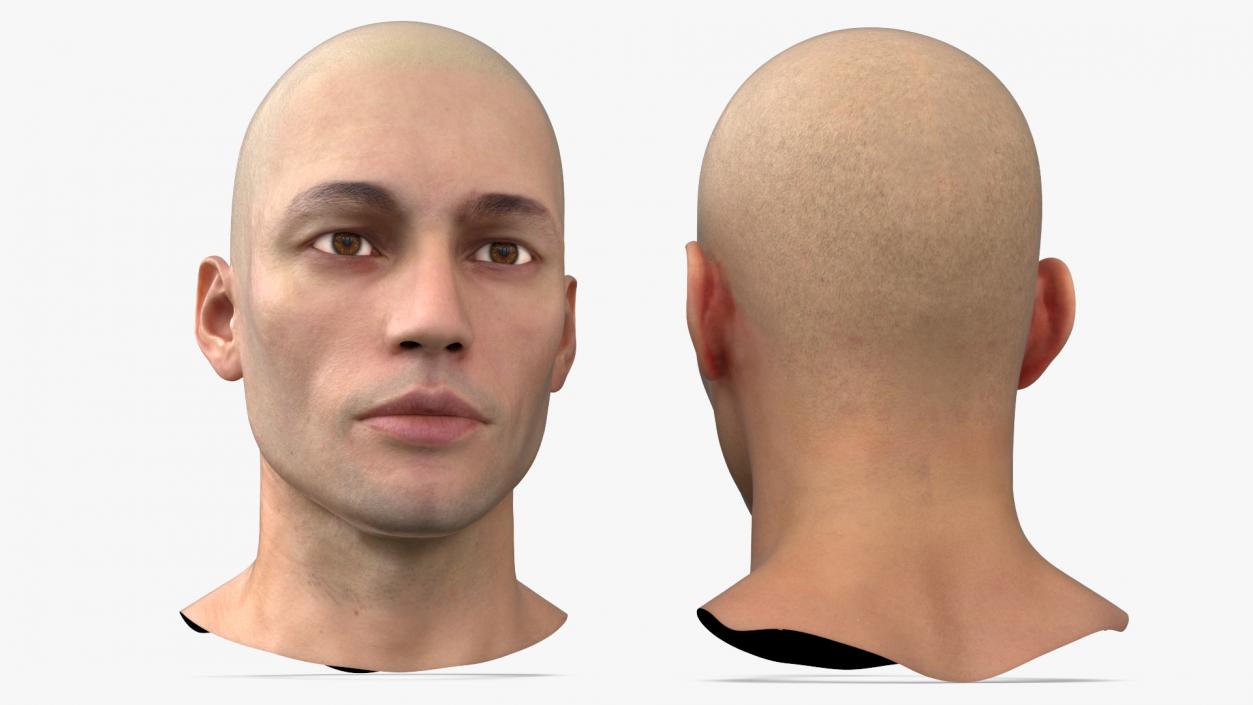 3D Man Character Head model