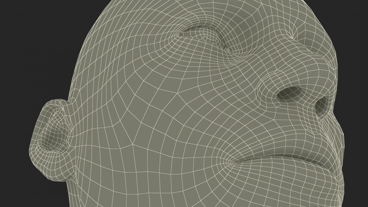 3D Man Character Head model