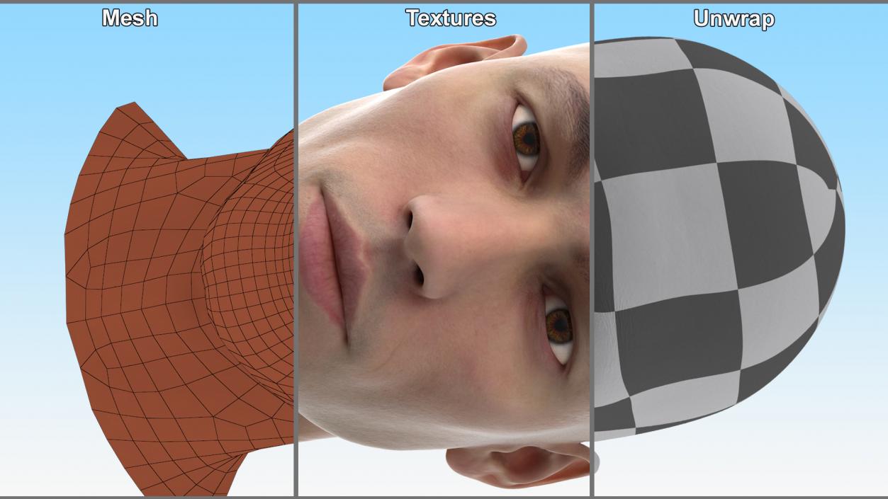 3D Man Character Head model