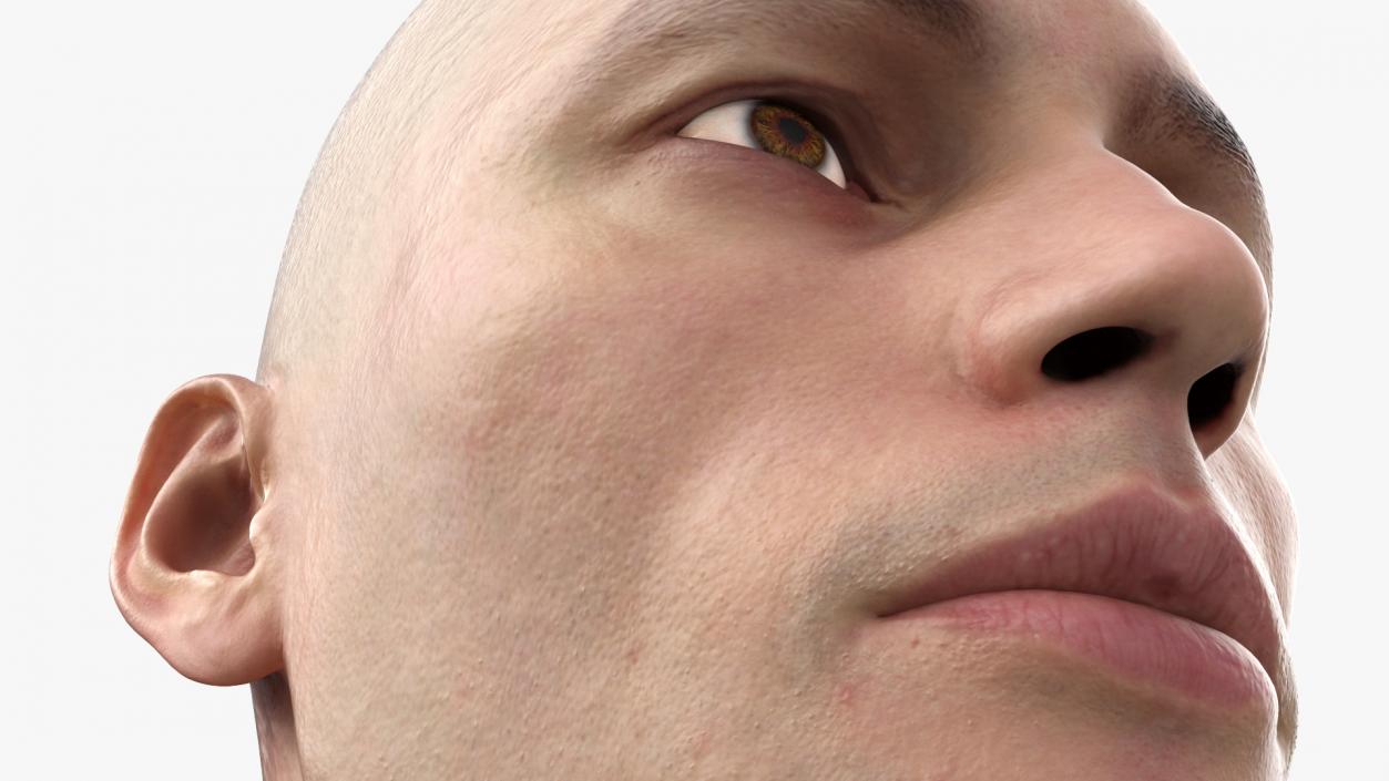 3D Man Character Head model