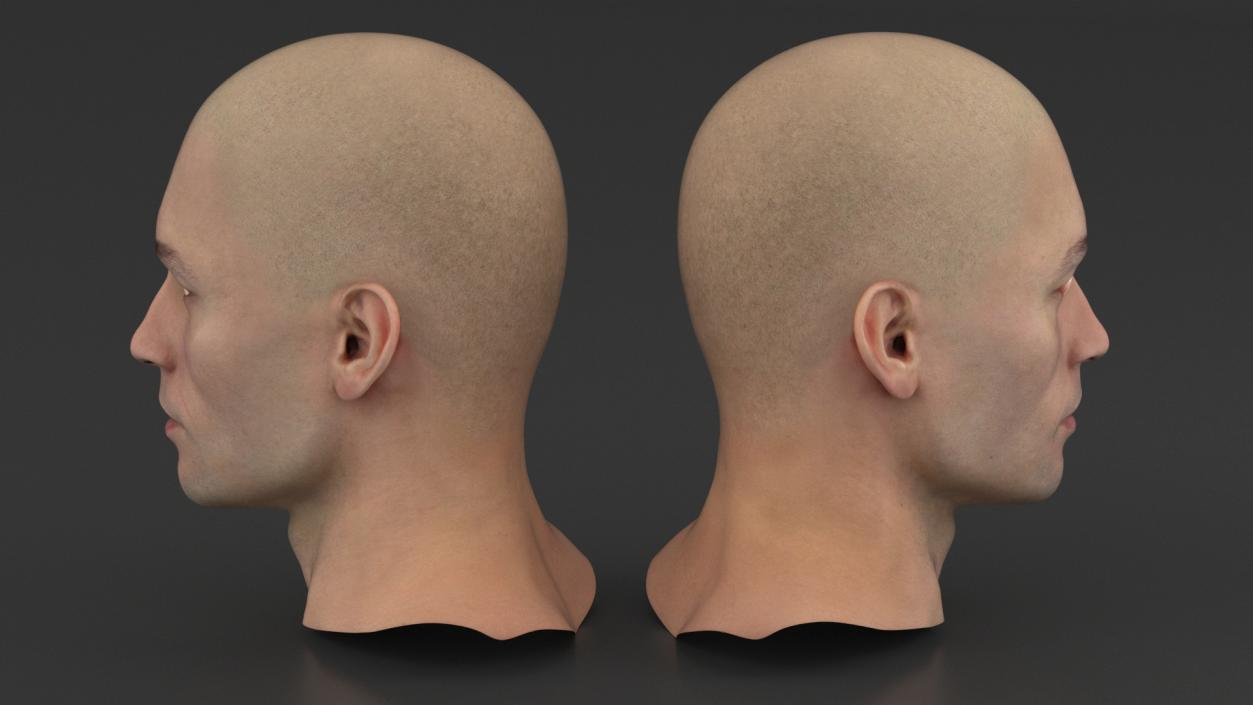 3D Man Character Head model