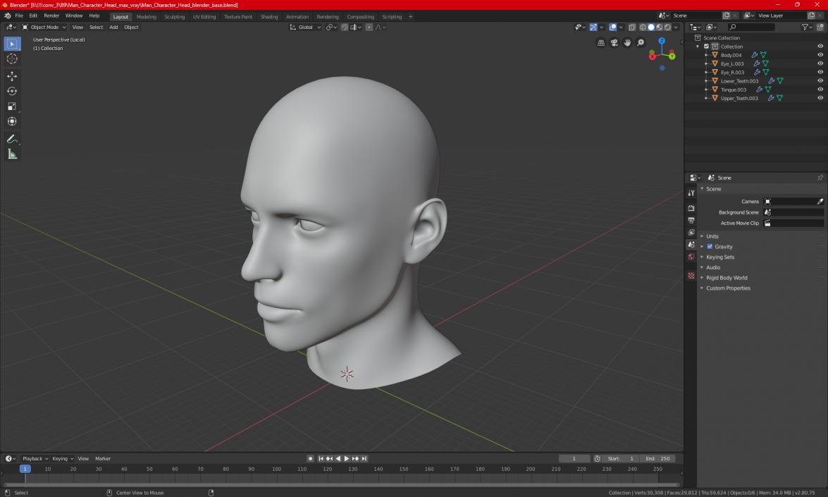 3D Man Character Head model