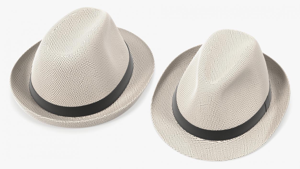 3D model Wicker Hat