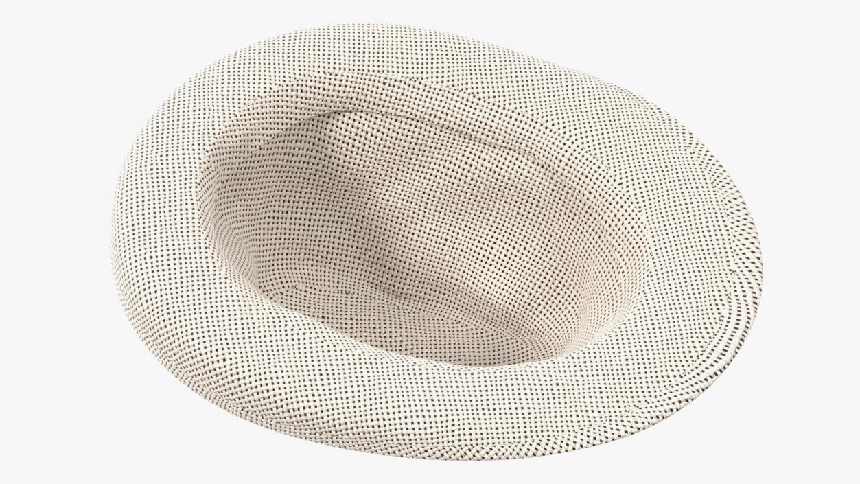 3D model Wicker Hat