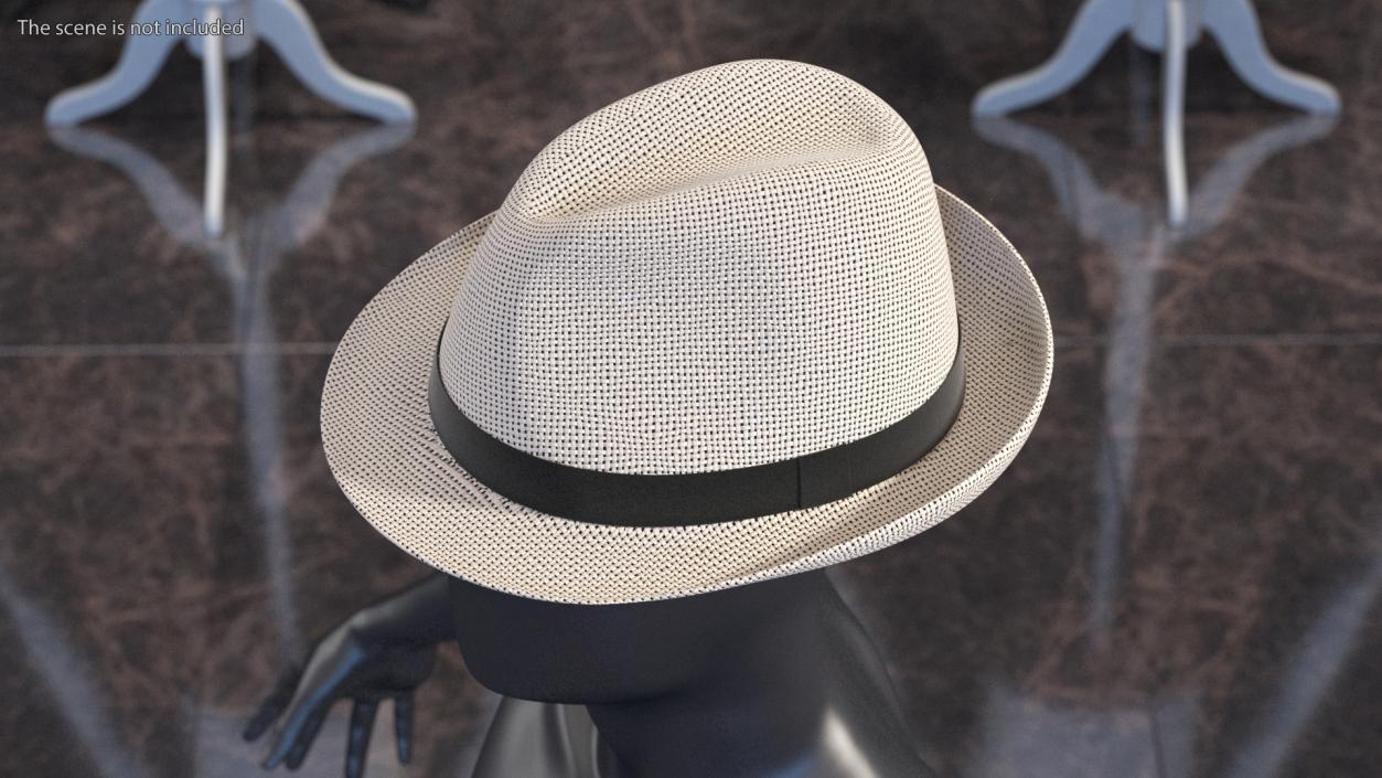 3D model Wicker Hat