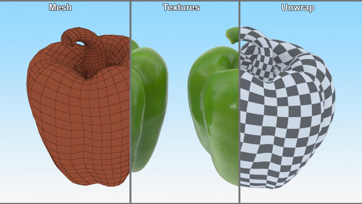 Green Bell Pepper 3D