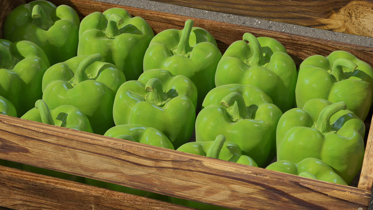 Green Bell Pepper 3D