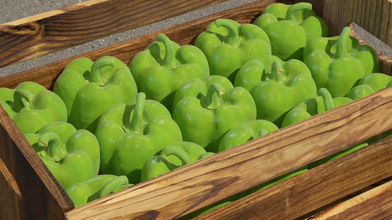 Green Bell Pepper 3D