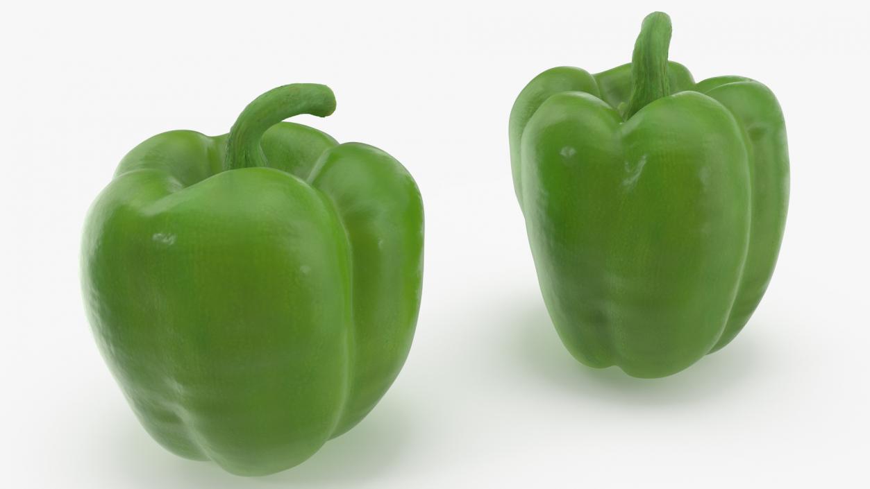 Green Bell Pepper 3D