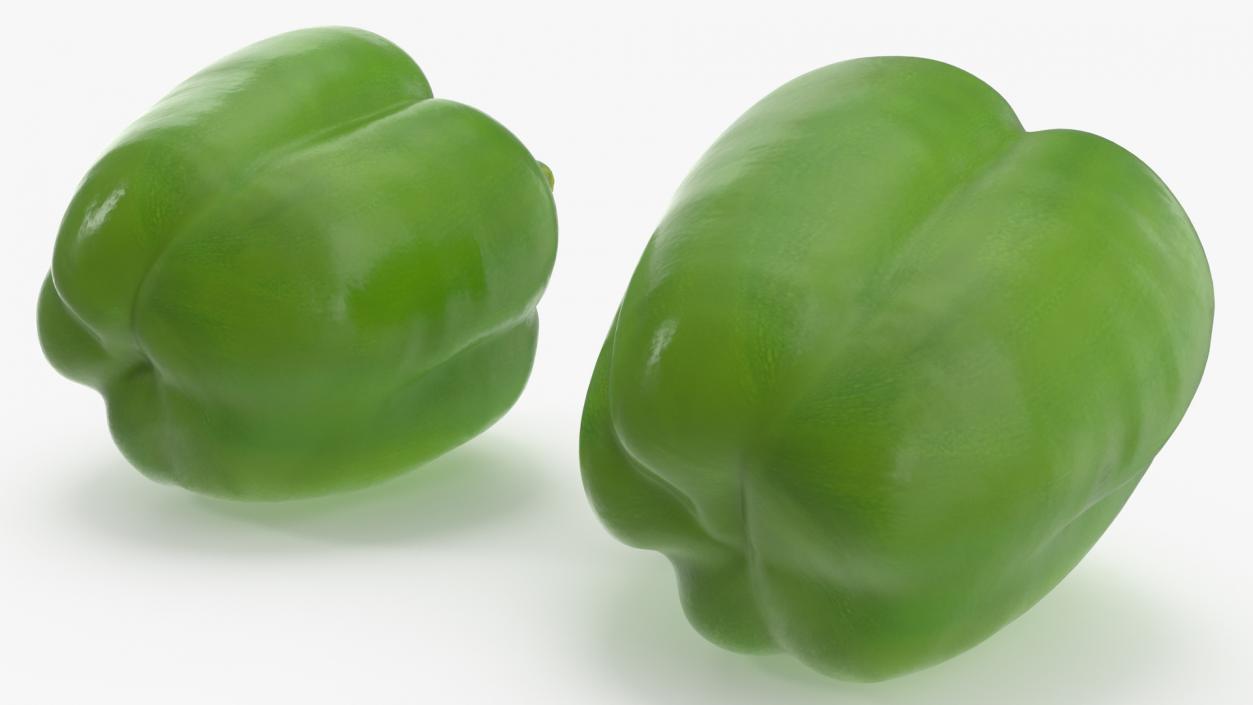 Green Bell Pepper 3D