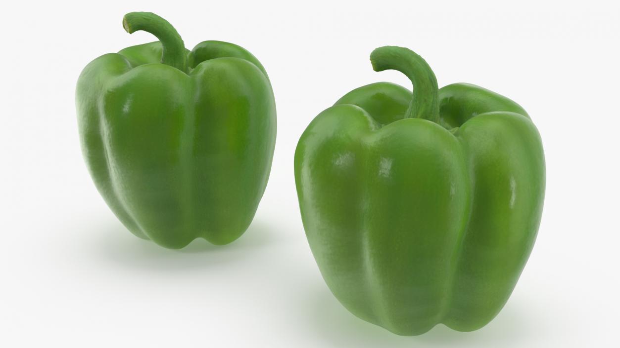 Green Bell Pepper 3D