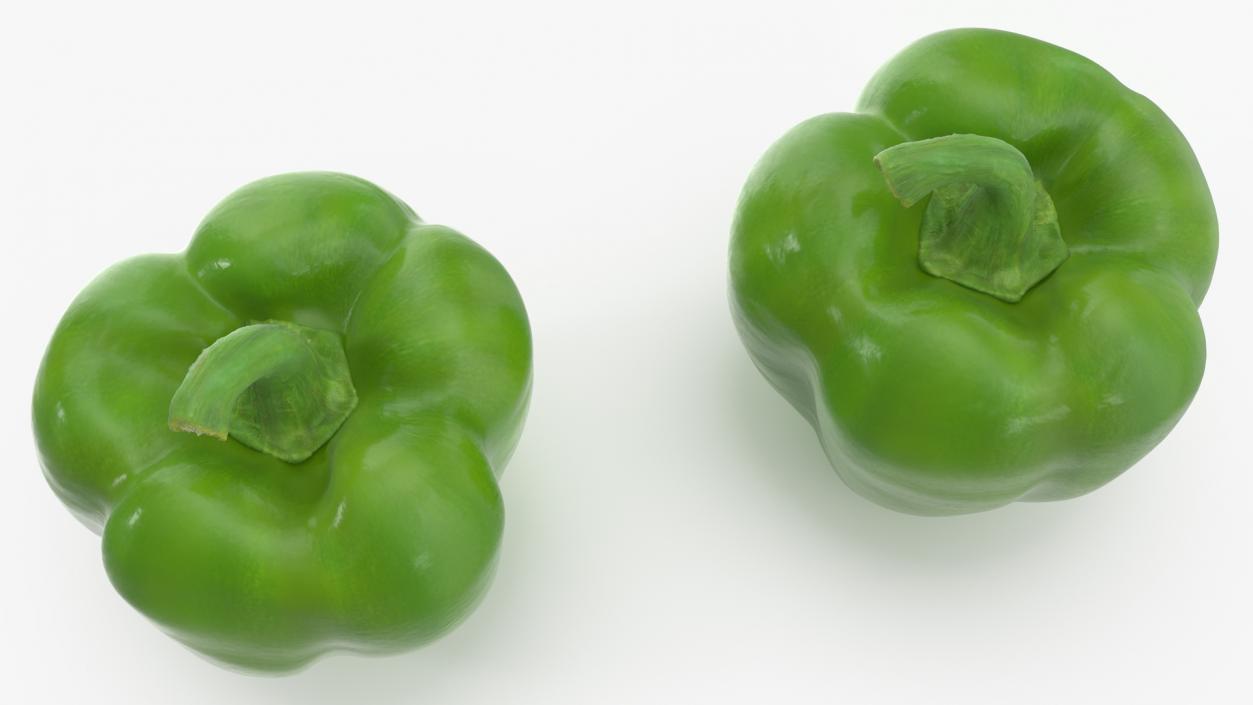 Green Bell Pepper 3D