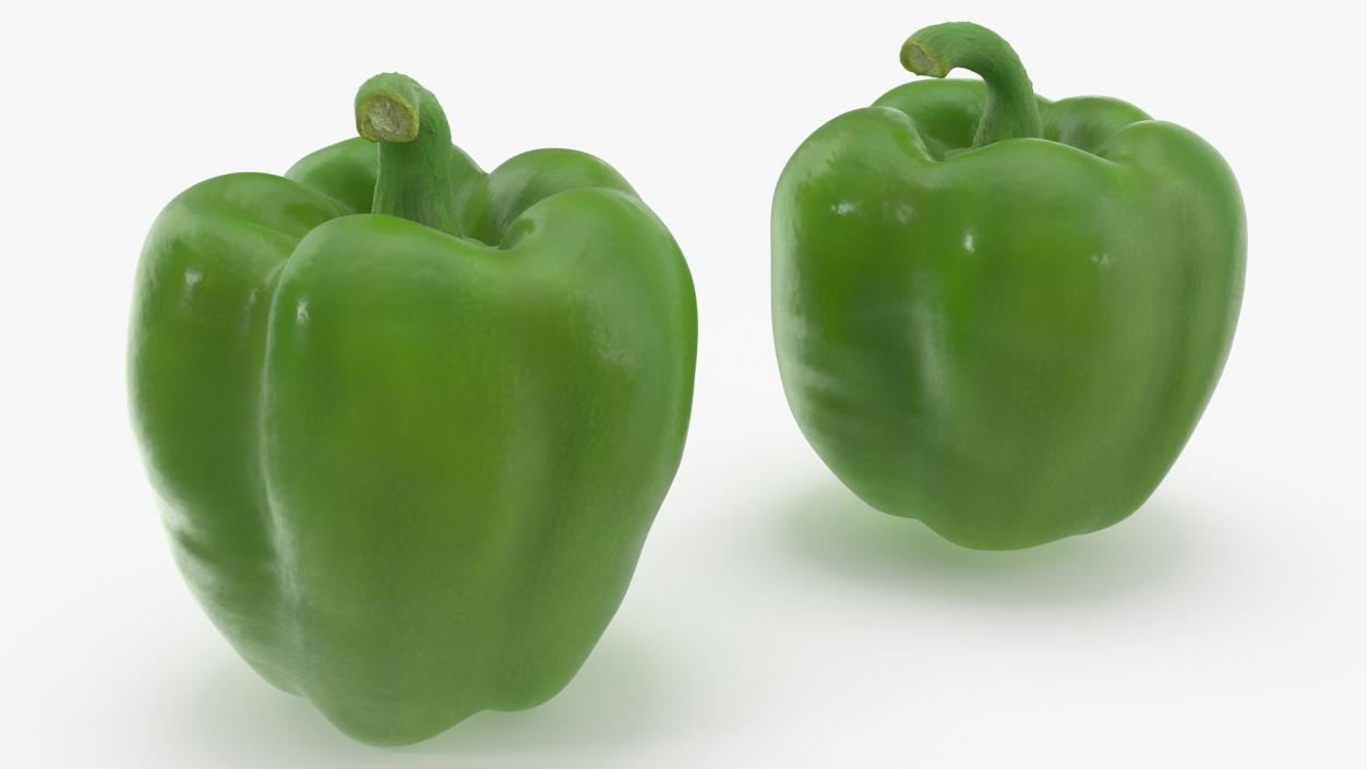 Green Bell Pepper 3D