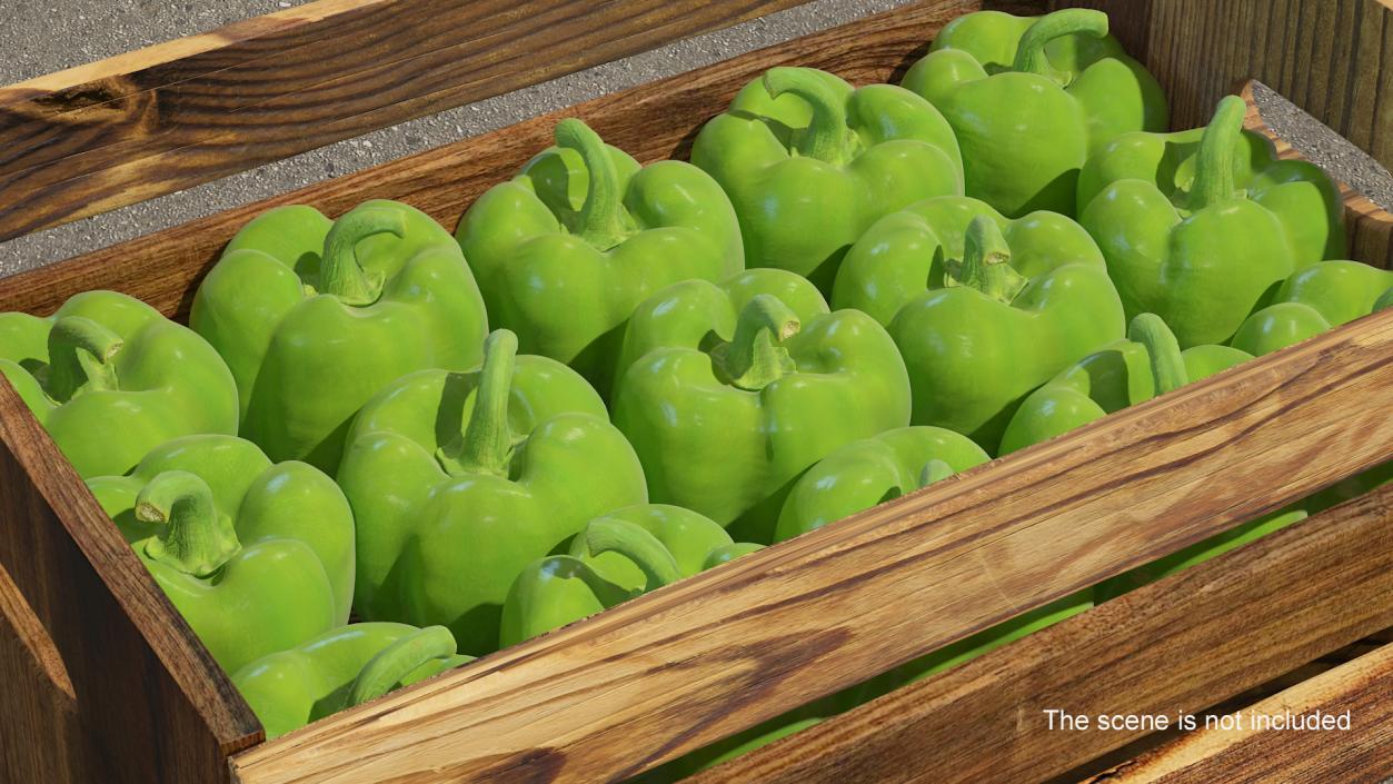 Green Bell Pepper 3D