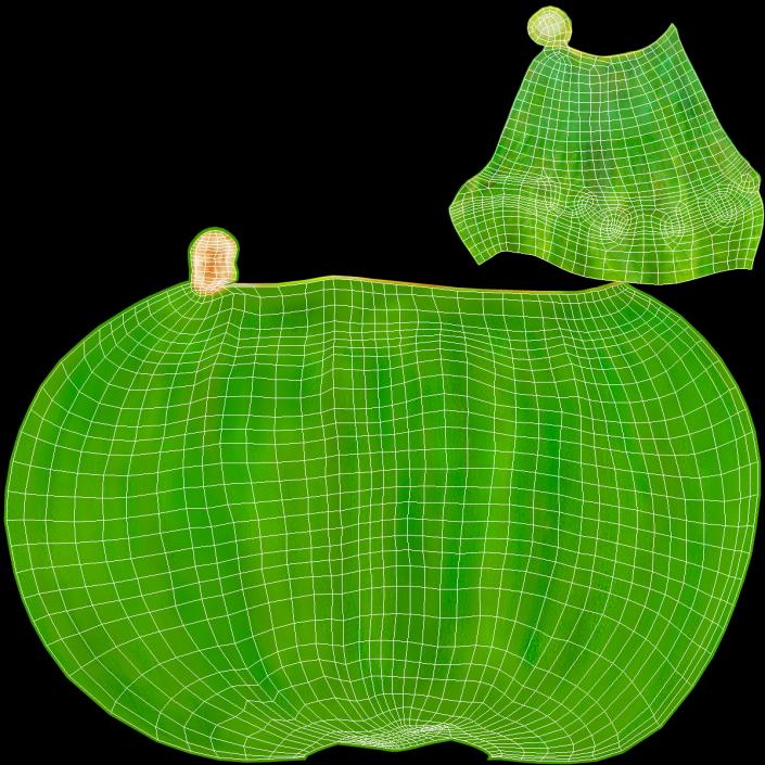 Green Bell Pepper 3D