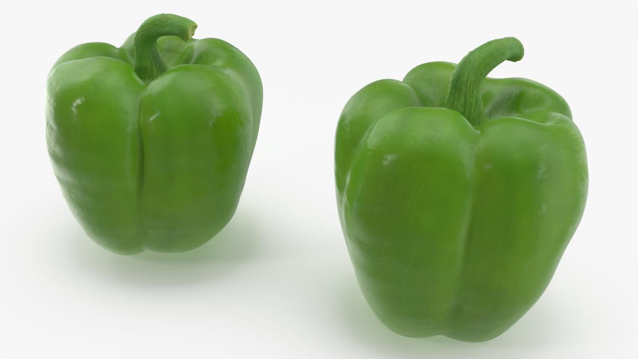 Green Bell Pepper 3D