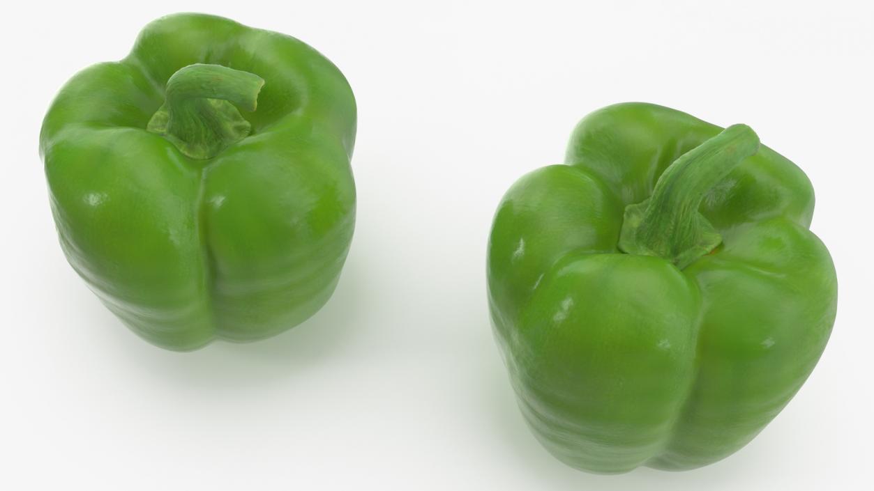 Green Bell Pepper 3D