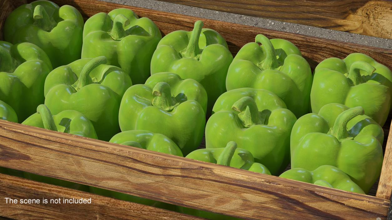 Green Bell Pepper 3D