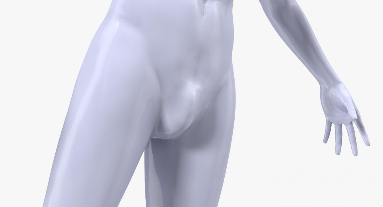 Male Mannequin 3D model