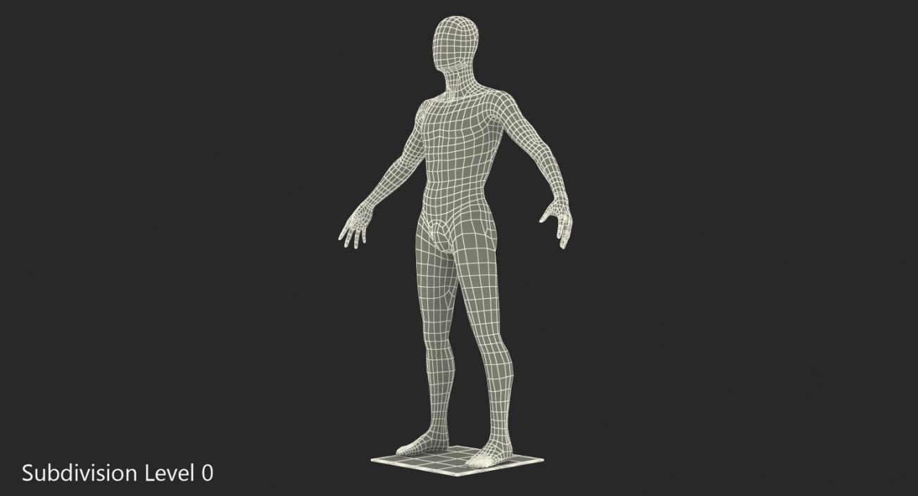 Male Mannequin 3D model