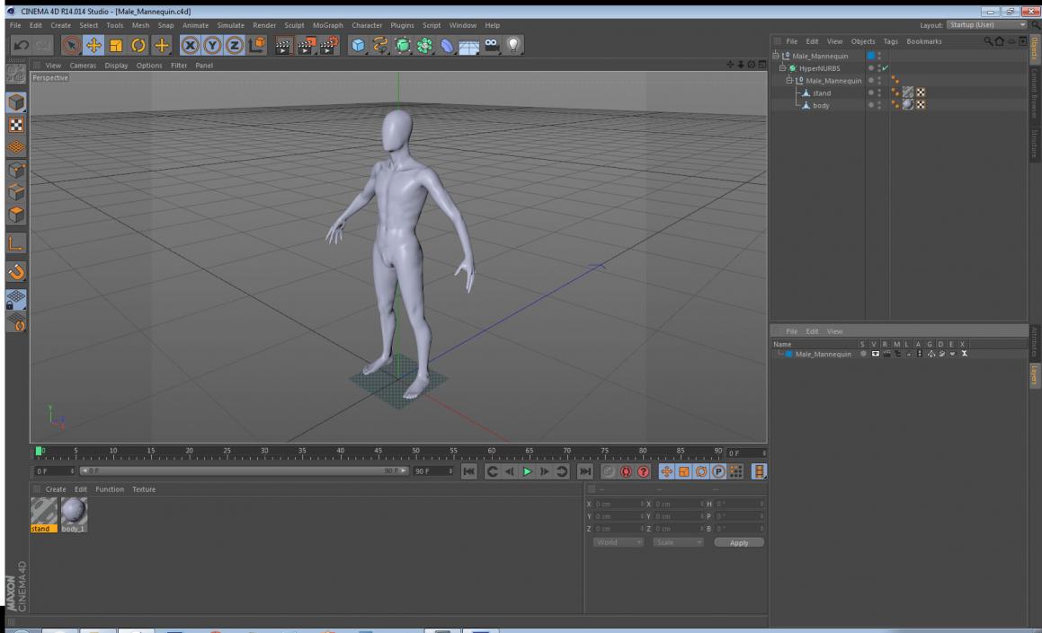 Male Mannequin 3D model