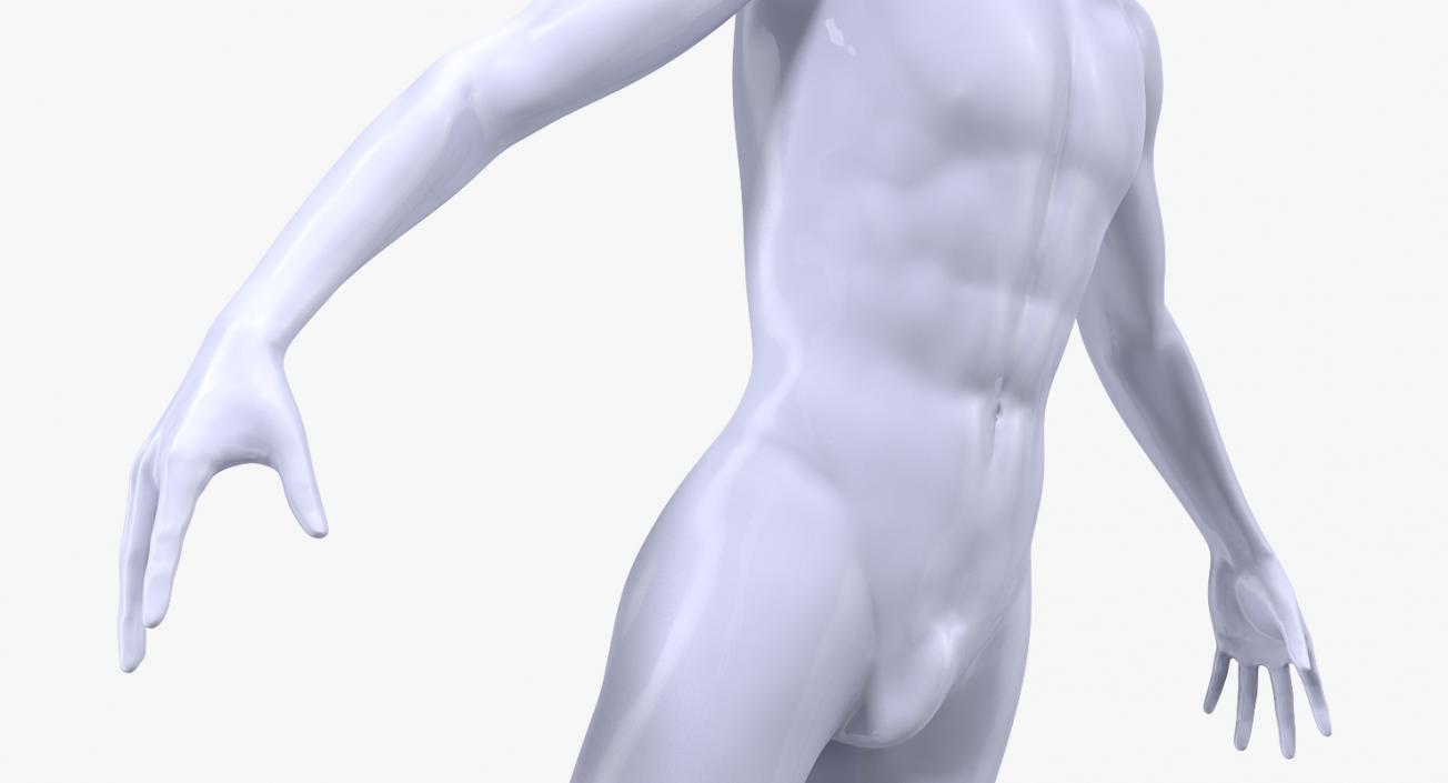 Male Mannequin 3D model