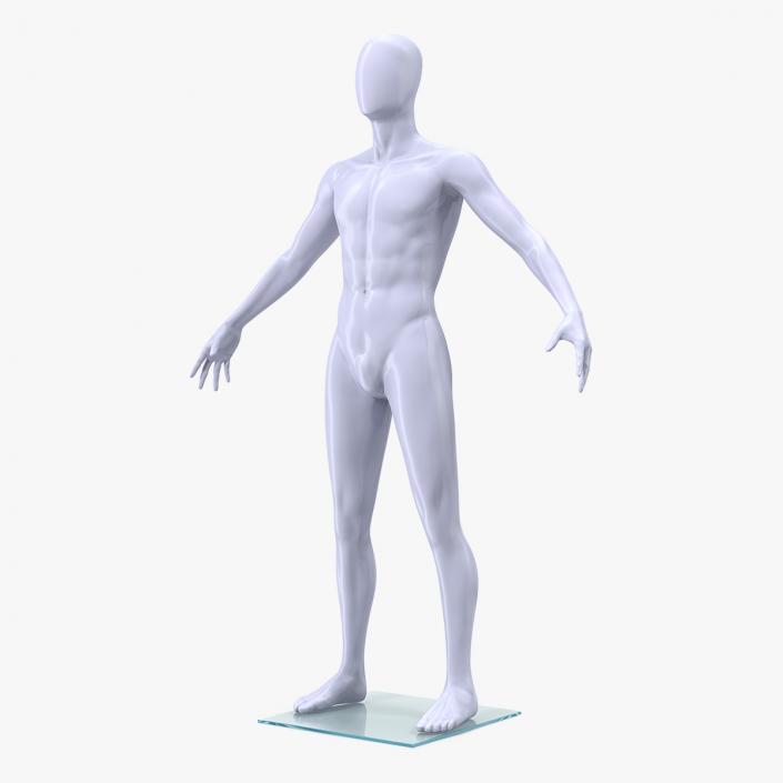 Male Mannequin 3D model