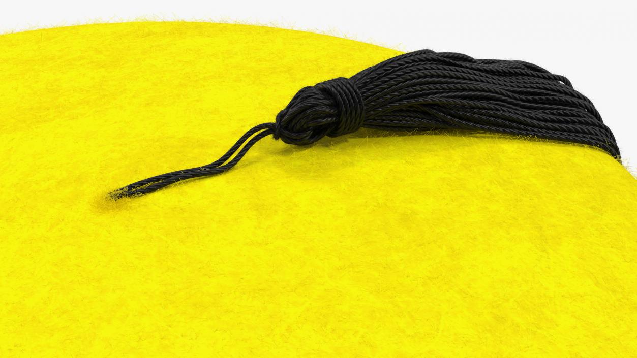 3D model Traditional Arabic Yellow Fez Hat With Black Tassel Fur