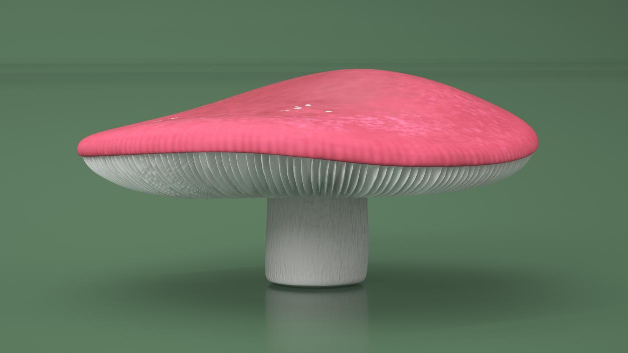 Russula 2 3D model