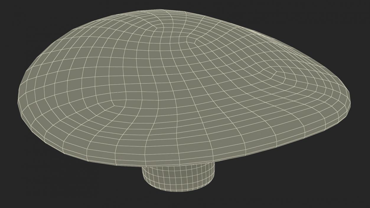 Russula 2 3D model