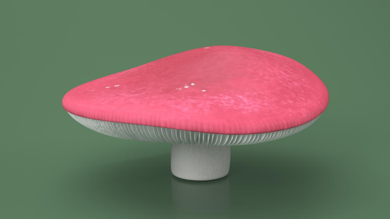 Russula 2 3D model