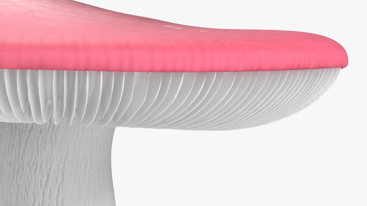 Russula 2 3D model