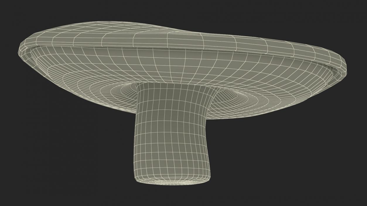 Russula 2 3D model