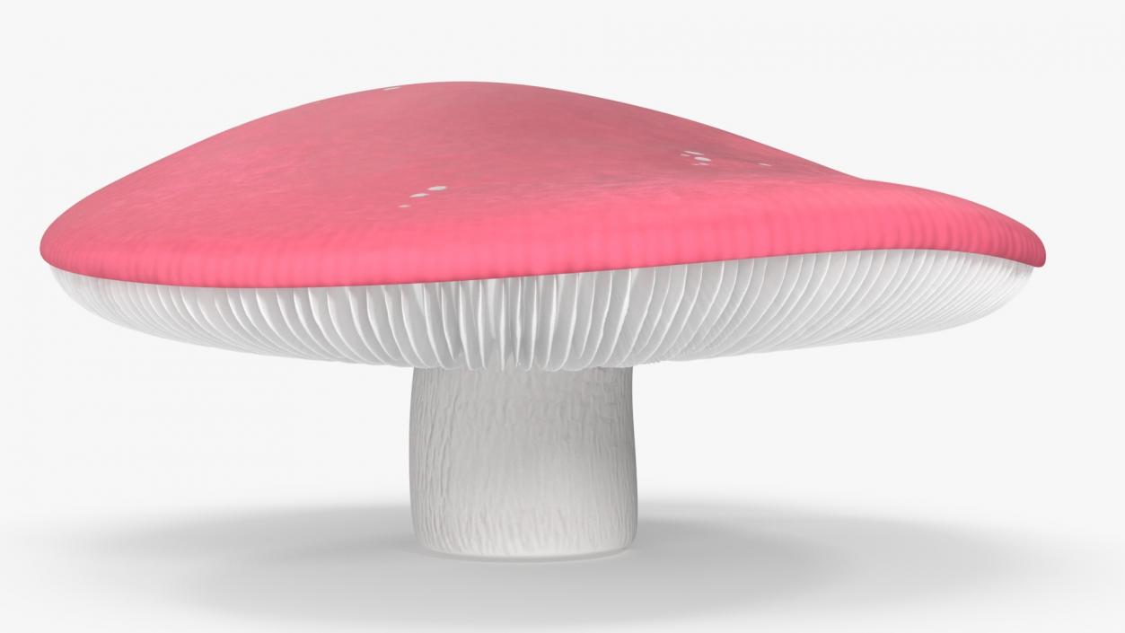 Russula 2 3D model