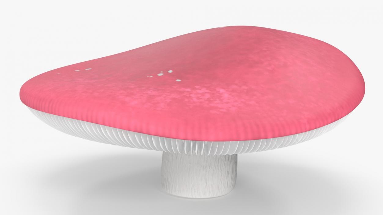 Russula 2 3D model