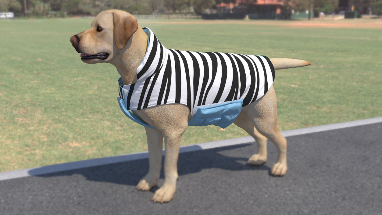 Dog Coat Zebra 3D model