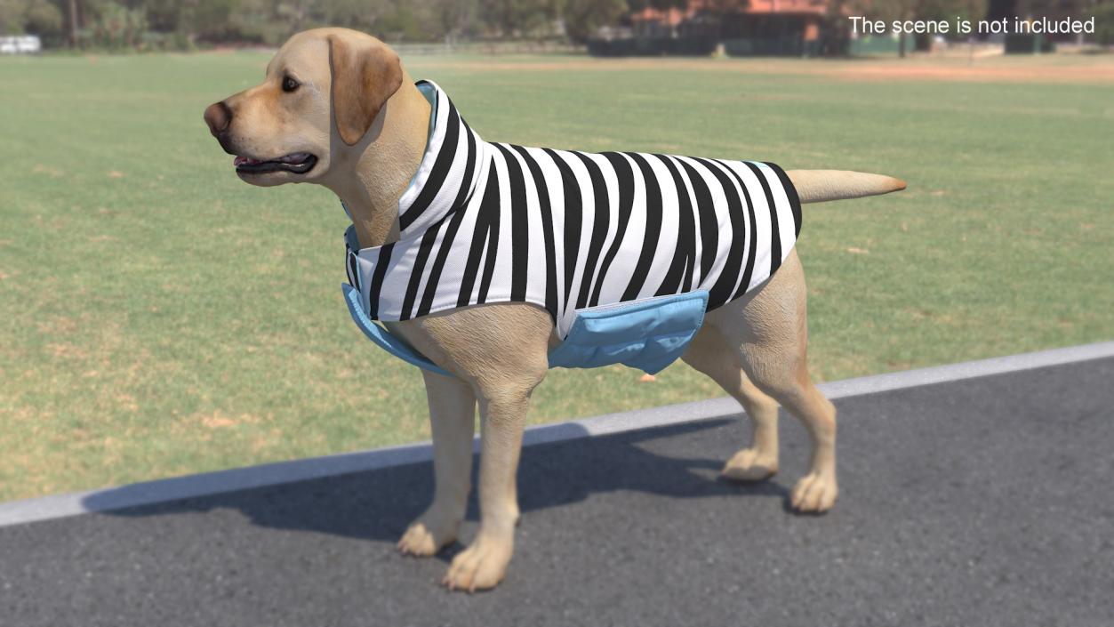 Dog Coat Zebra 3D model