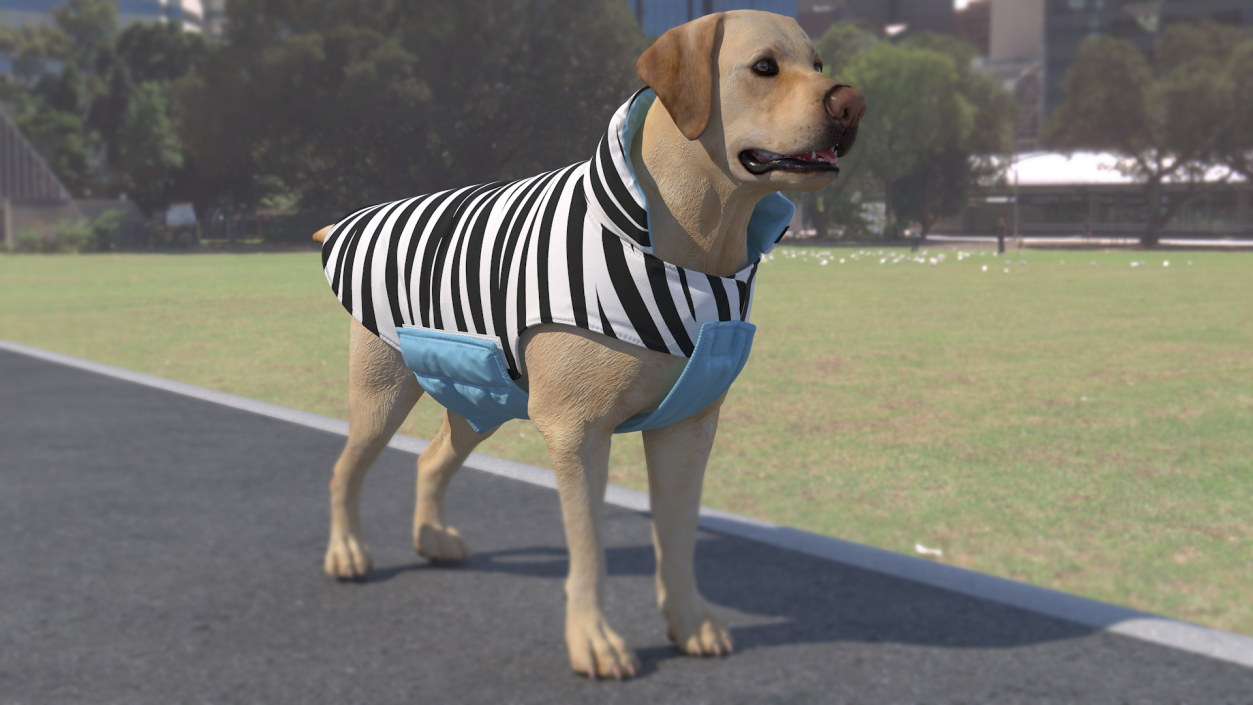 Dog Coat Zebra 3D model